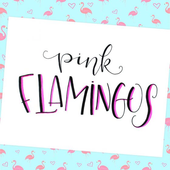 Pink Flamingos